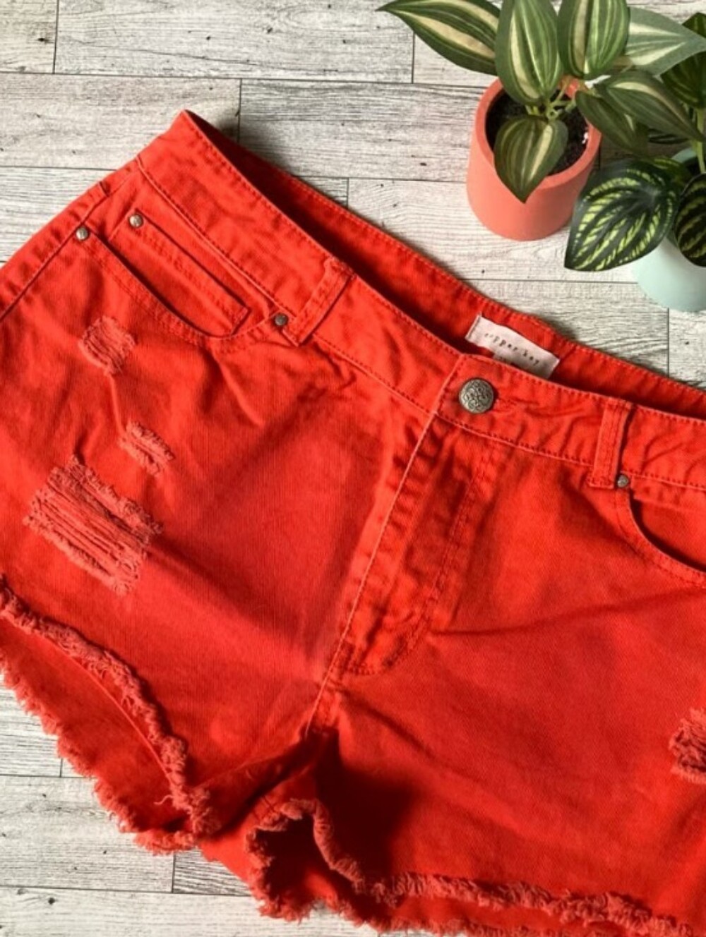 Copper Key Women's Red Orange Distressed Denim Shorts